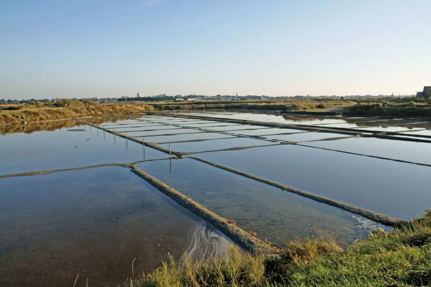 Les Salins de Gurande(44)