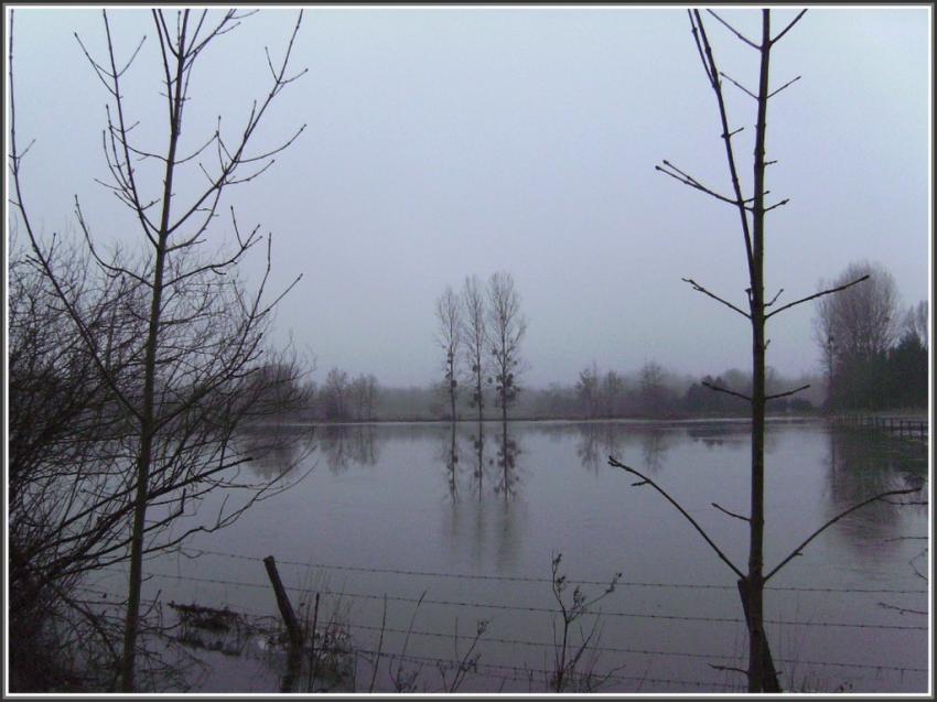 Sry-les-Mzires (02) Pture gele.