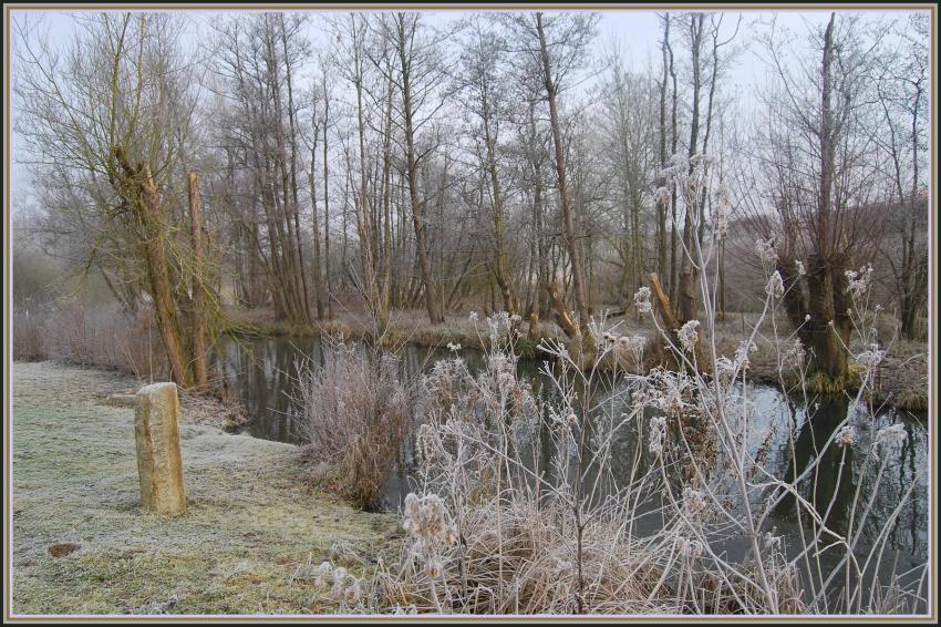 Marais d'Isle  St-Quentin (02)