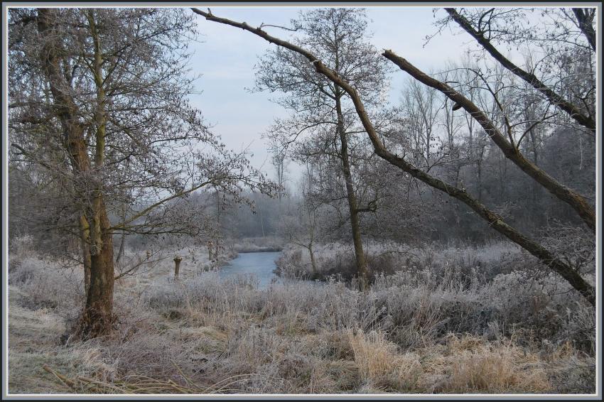 Marais d'Isle  St-Quentin (02)