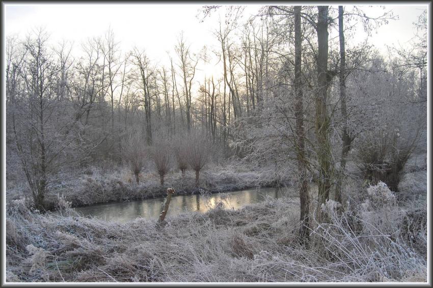 Marais d'Isle  St-Quentin (02)