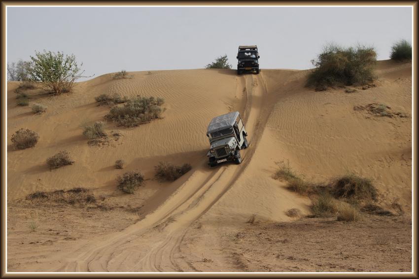 Safari  Manwar - Rajasthan