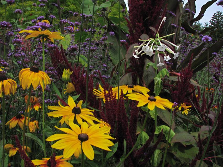 Jardin botanique Van Dusen