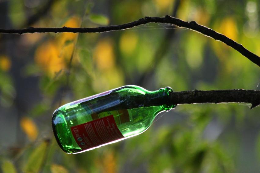 Mais qu'est-ce-que je fais l !