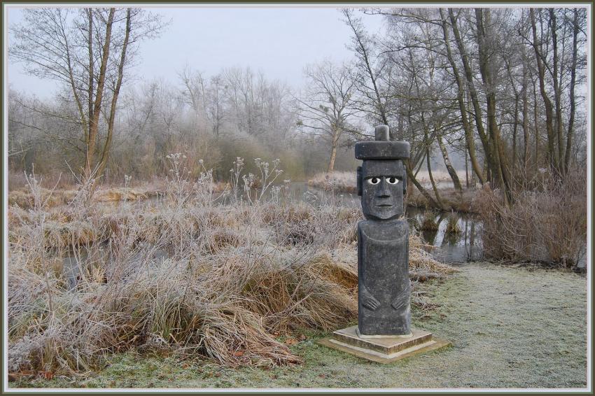 Marais d'Isle  St-Quentin (02)