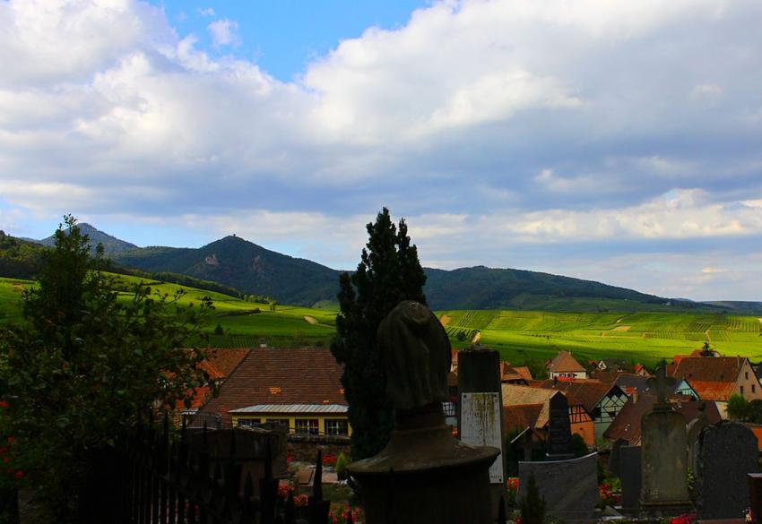 Vignobles et Chteaux