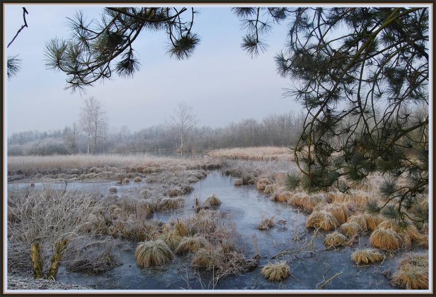 Marais d'Isle  St-Quentin (02)