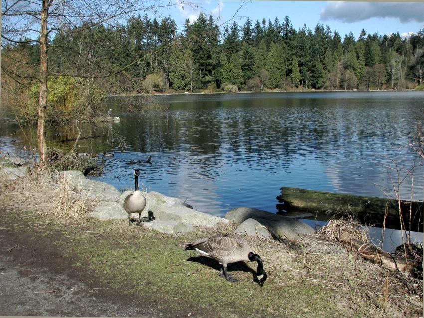 Lost Lagoon, Vancouver