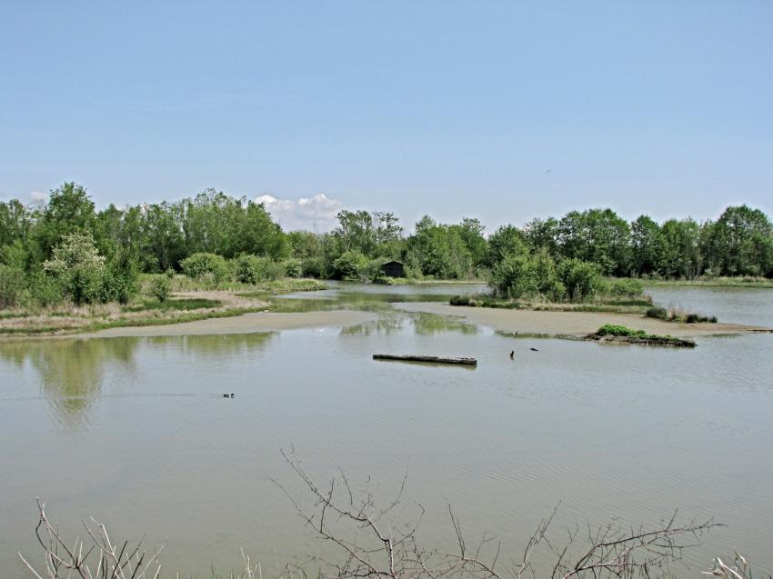 Refuge d'oiseau  Ladner au su\d de Vancouver
