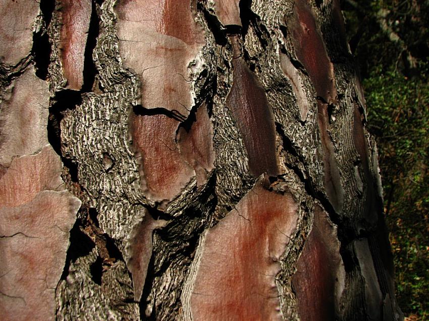 Solution de la devinette