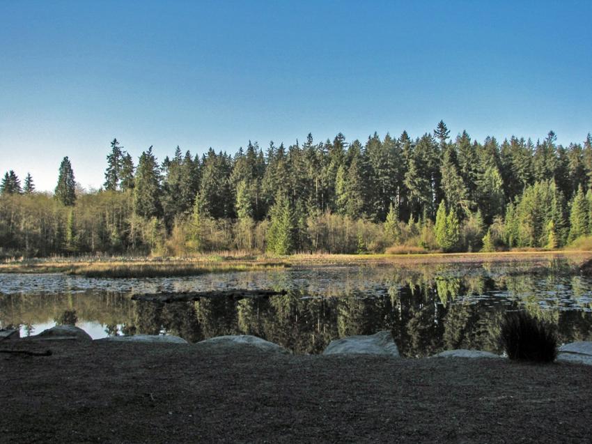 Beaver Lake Vancouver