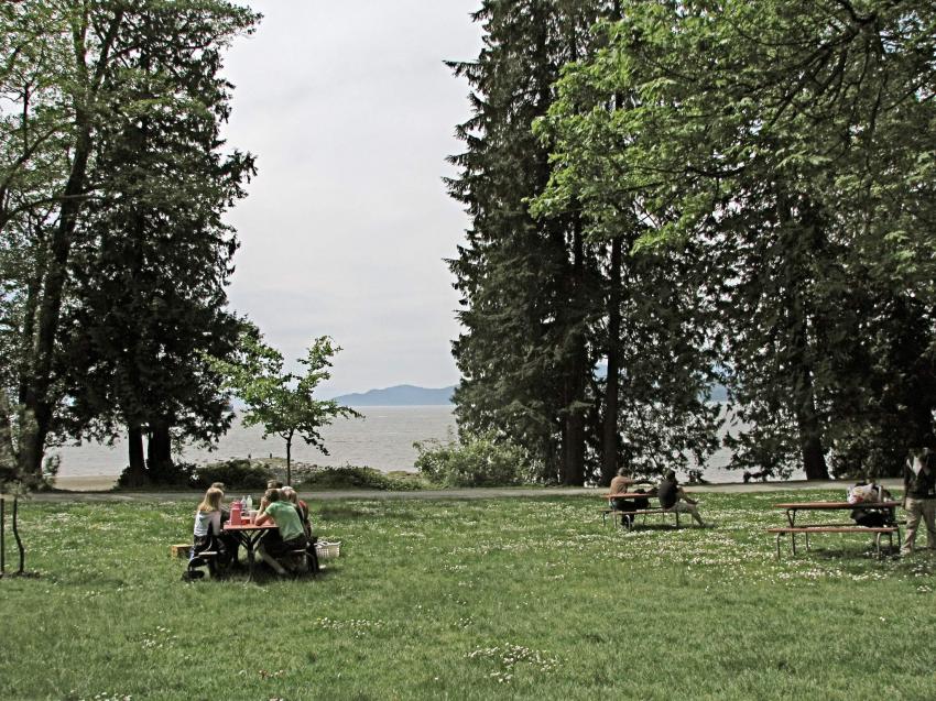Place de picnic au dessus de la plage