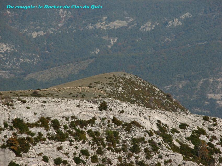 le Rocher du clos du buis 