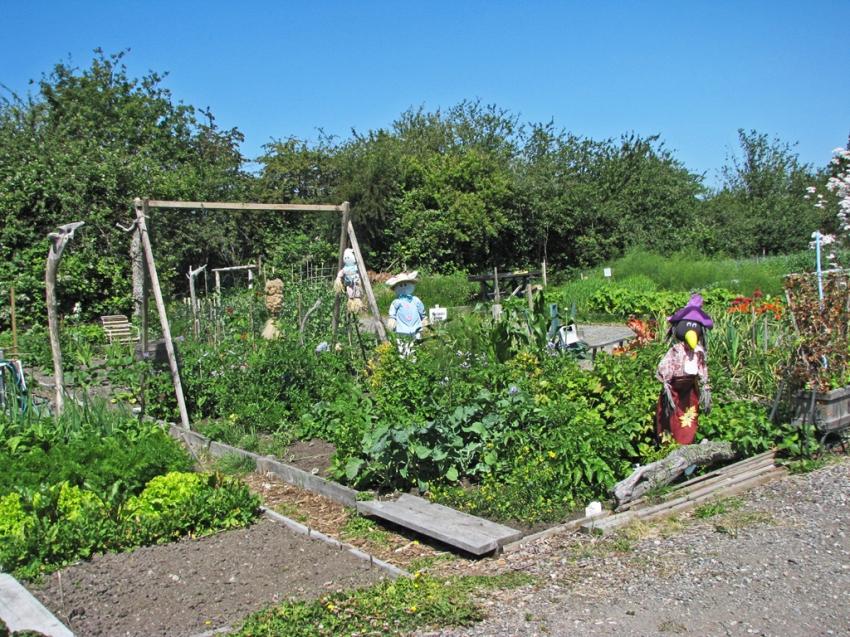 Jardin de quartier dans un village