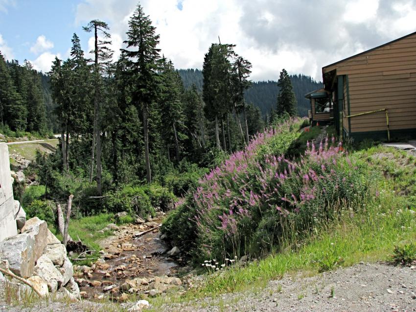 Cypress Mountain prs de Vancouver