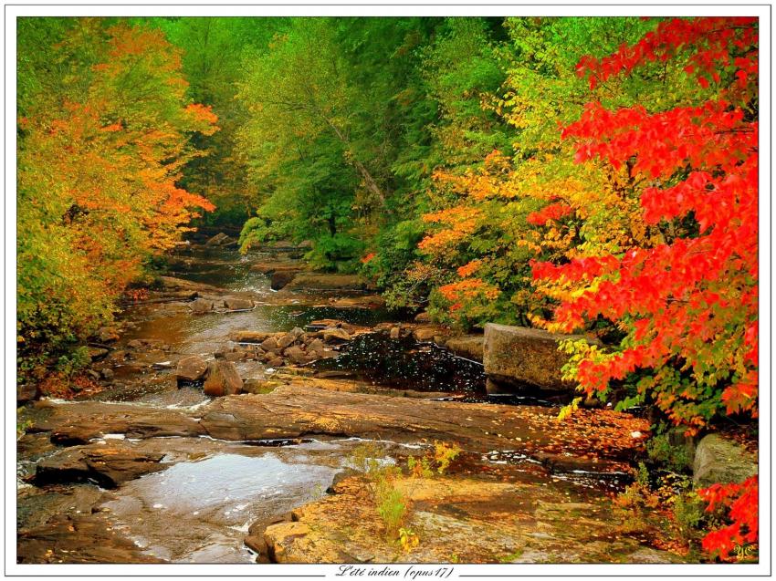 L't indien (opus 17)