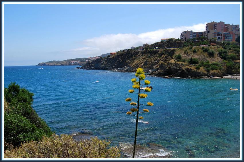 La Cte Vermeille vers Banyuls (66)