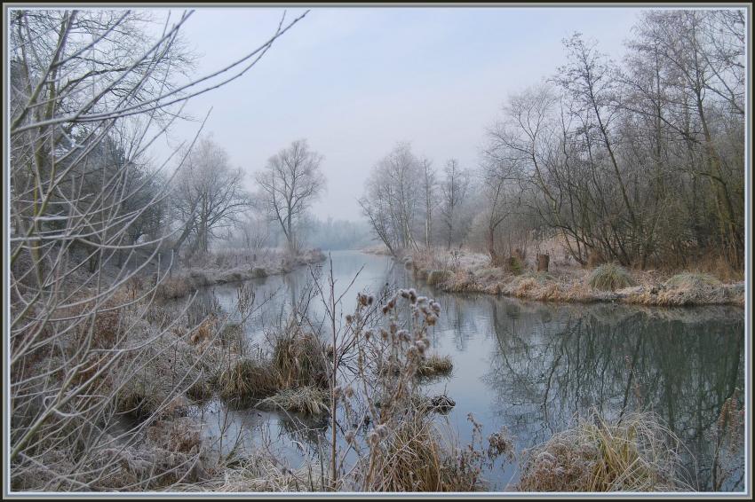 Marais d'Isle  St-Quentin (02)