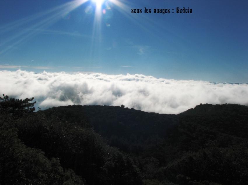 En montant au Mt Ventoux