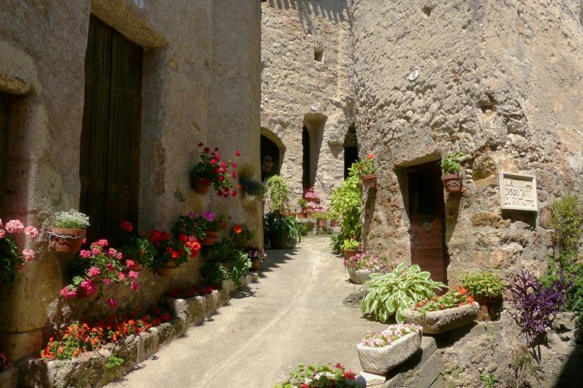 Cour intrieure  St Guilhem le Dsert (34)