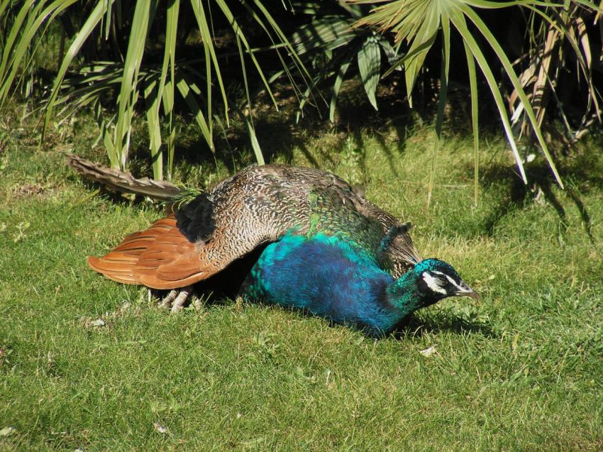 Aprs la roue, le repos !