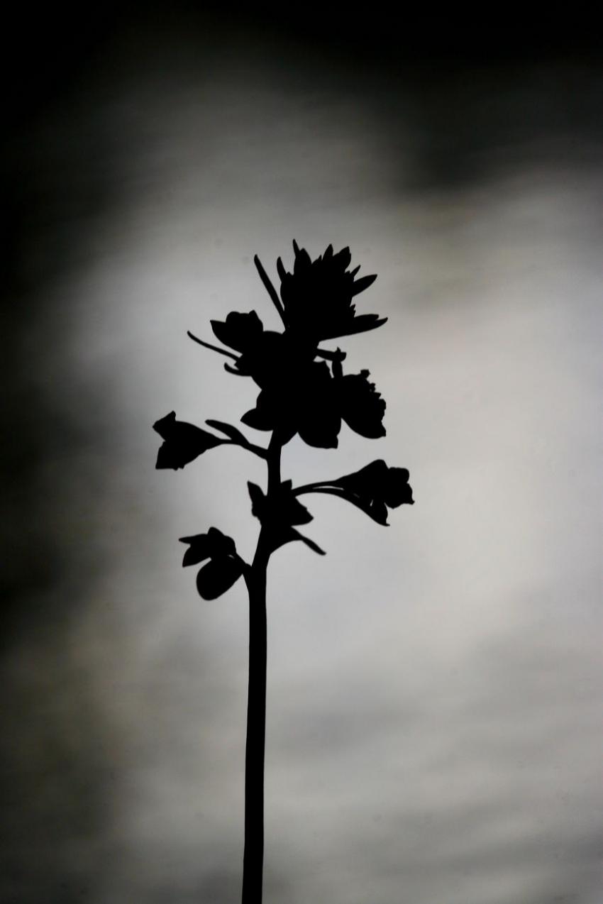 Contre-jour dans l'eau