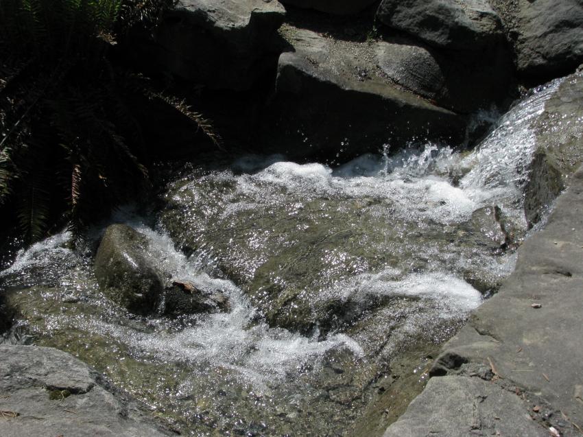 Petite cascade