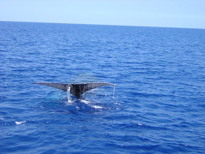 A l'anne prochaine...