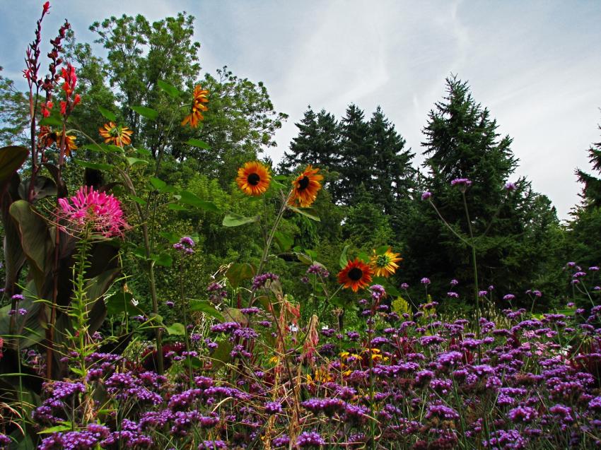 Jardin botanique Van Dusen