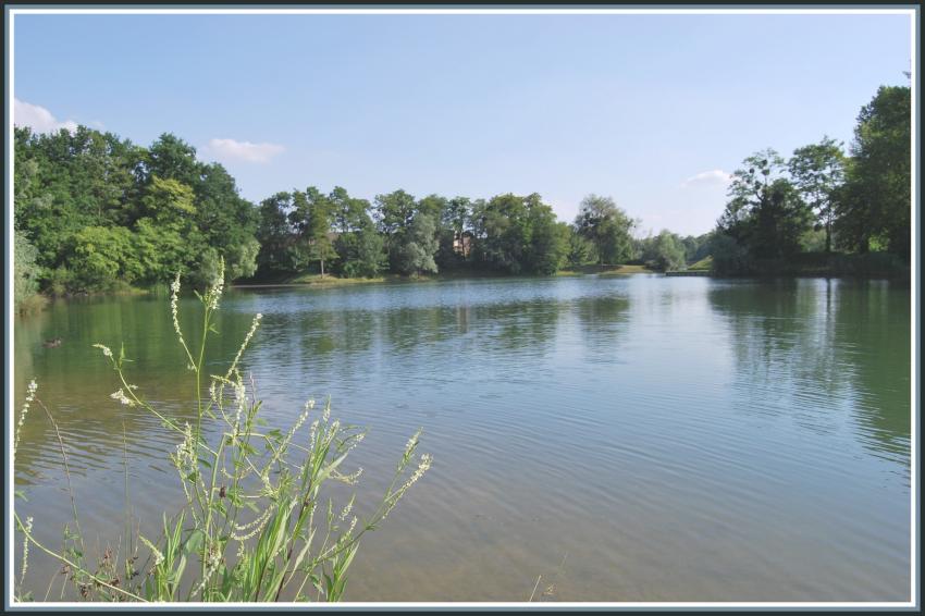 Promenade  l'Isle-Adam (95)