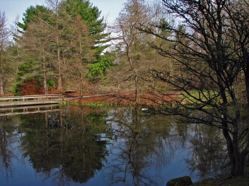 La vue depuis le banc