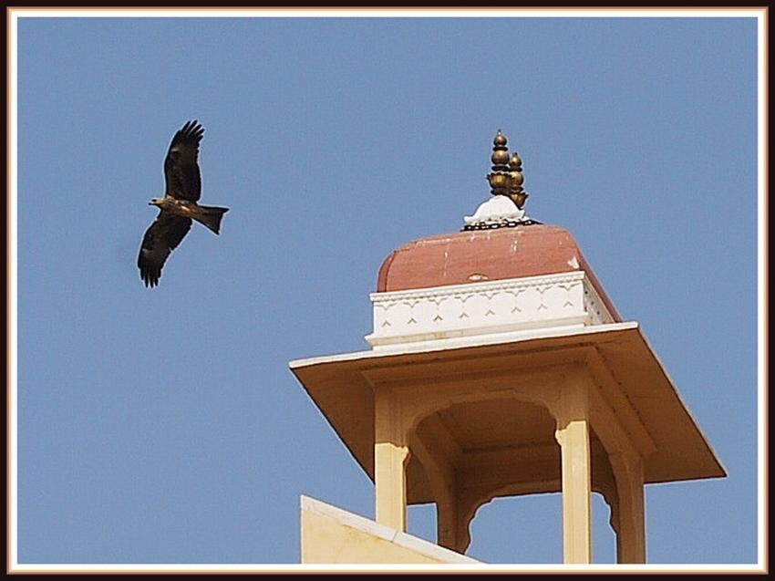 Jaipur - Rajasthan