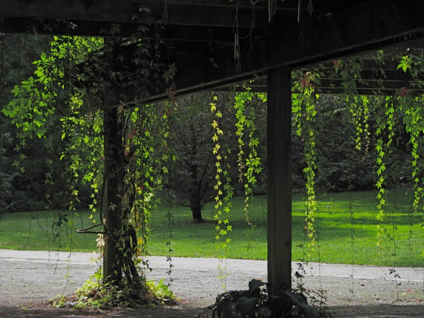 Sous l'abris au frais