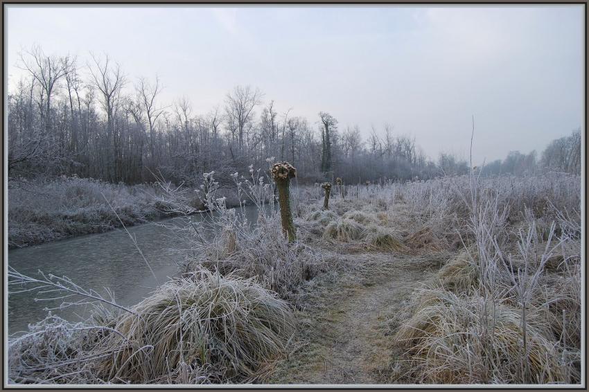 Marais d'Isle  St-Quentin (02)