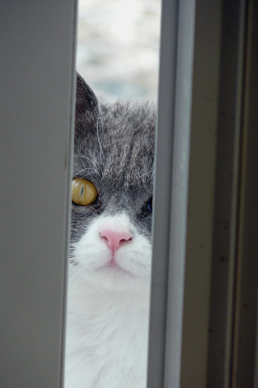 O elle est, ta fille ?