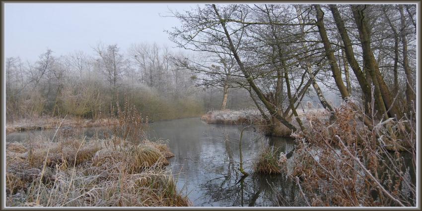 Marais d'Isle  St-Quentin (02)