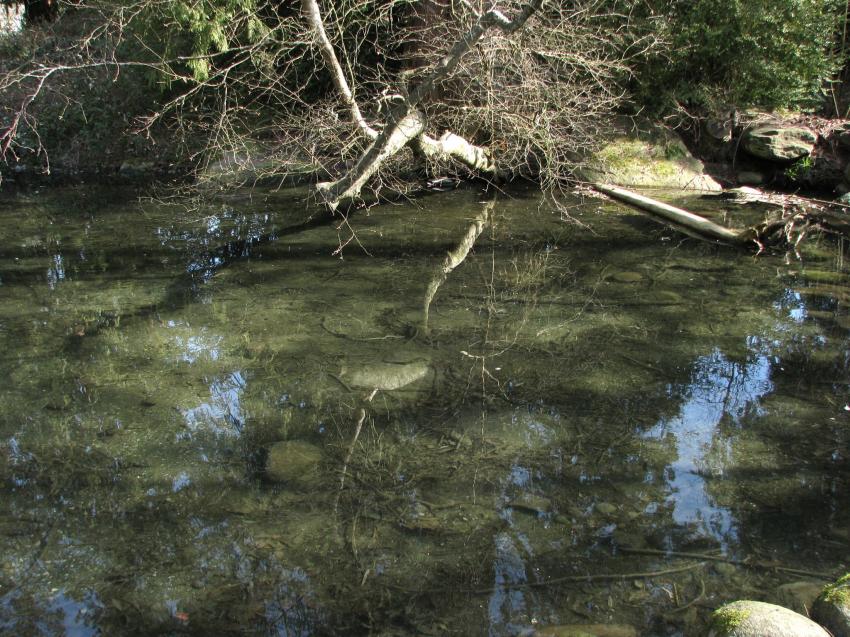 Comme un insecte gant