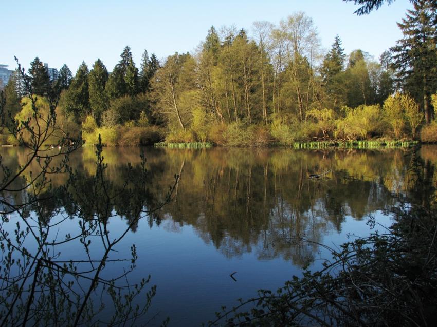 Lost Lagoon Vancouver