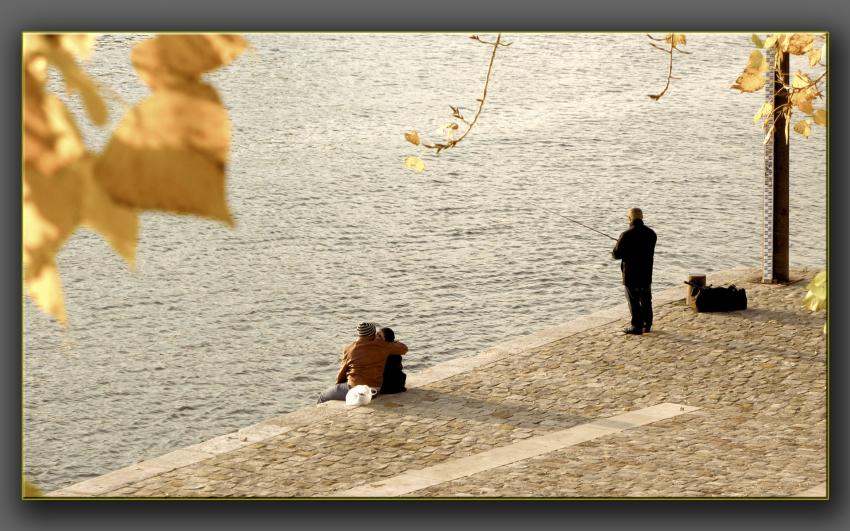 Bords de seine