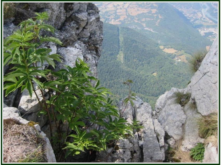 La Molire au dessus de Grenoble