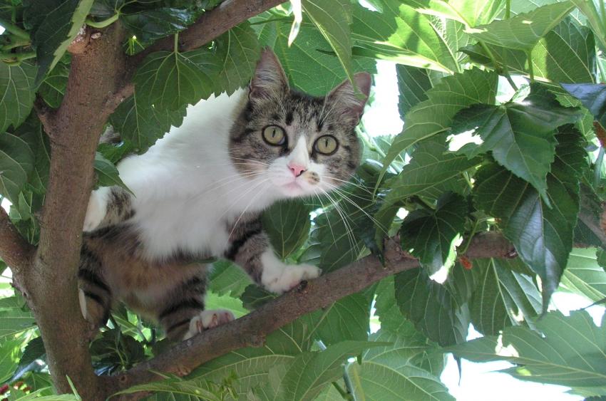 Coucou ! je suis l !