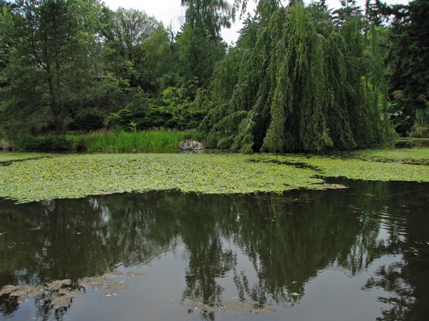 Jardin botanique Van Dusen Vancouver