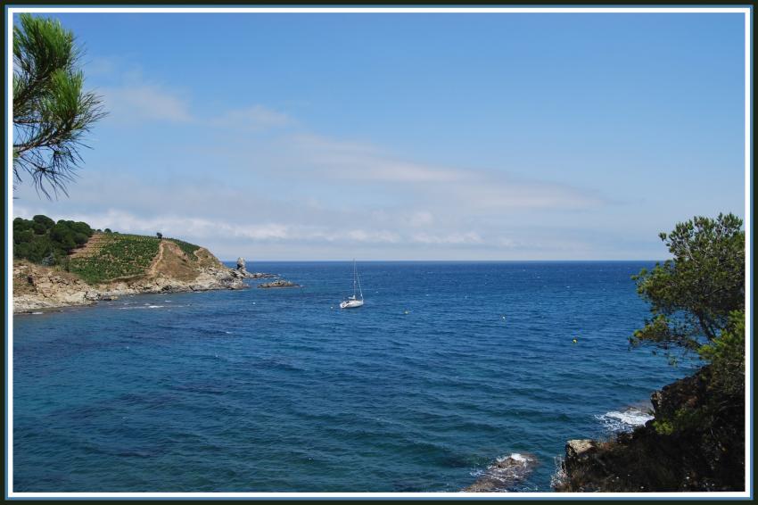 Banyuls (66) La mer