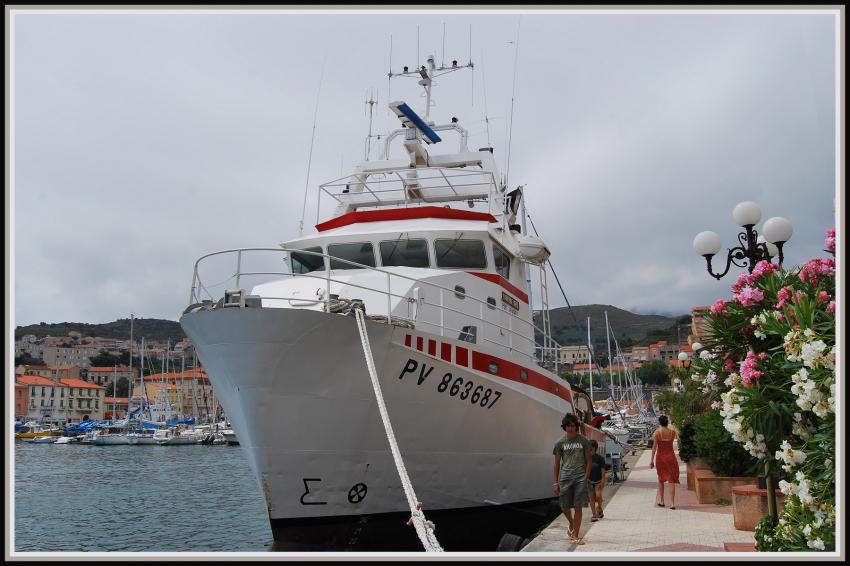 Port-Vendres (66)
