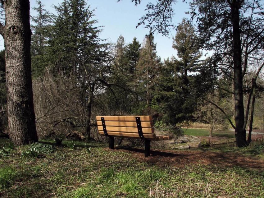 Belle vue depuis ce banc