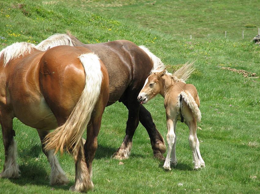 Je viens d'arriver !!