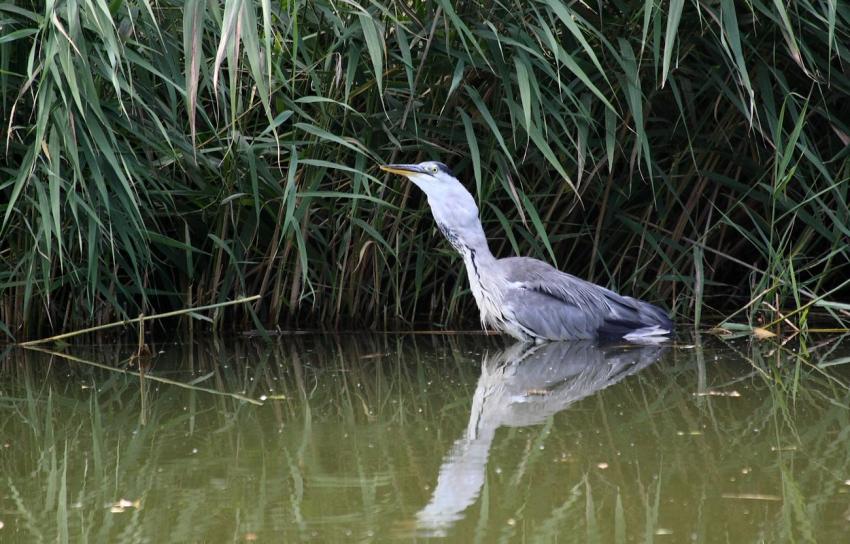 Il m'est rest de travers celui-l !