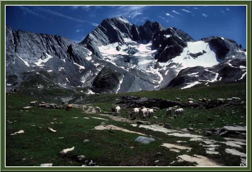 Pralognan la Vanoise