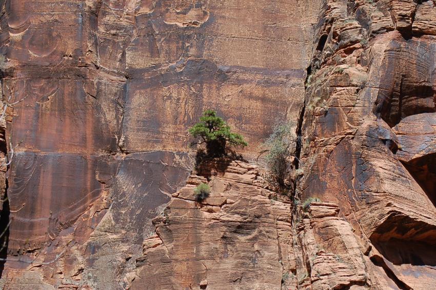 Un jour je serais grand !!