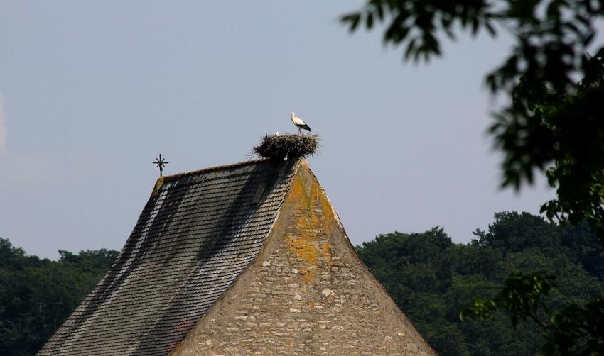 Quelques habitants de notre rgion